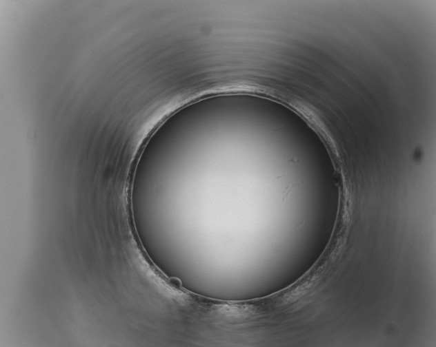 X0000112820805200908281530