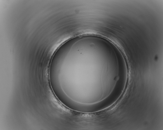 X0000112820806200908281530