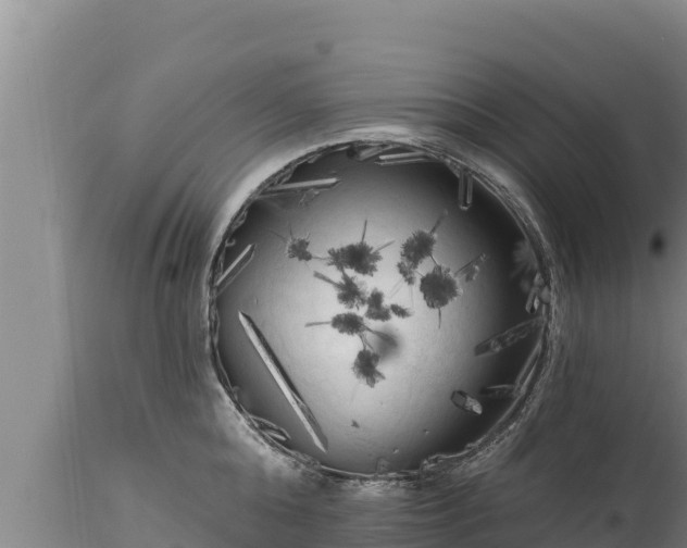X0000112820808200908281530