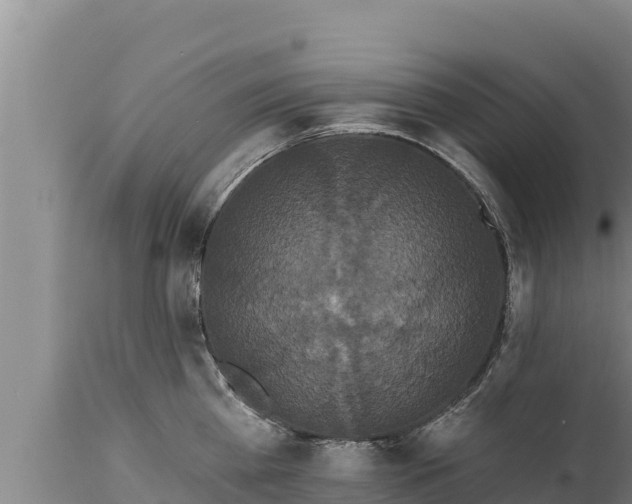 X0000112820809200908281530