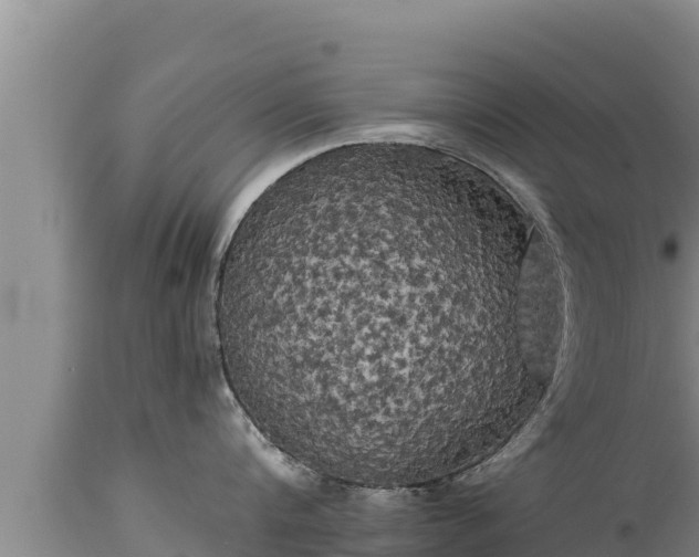 X0000112820816200908281529