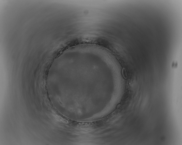 X0000112820817200908281529