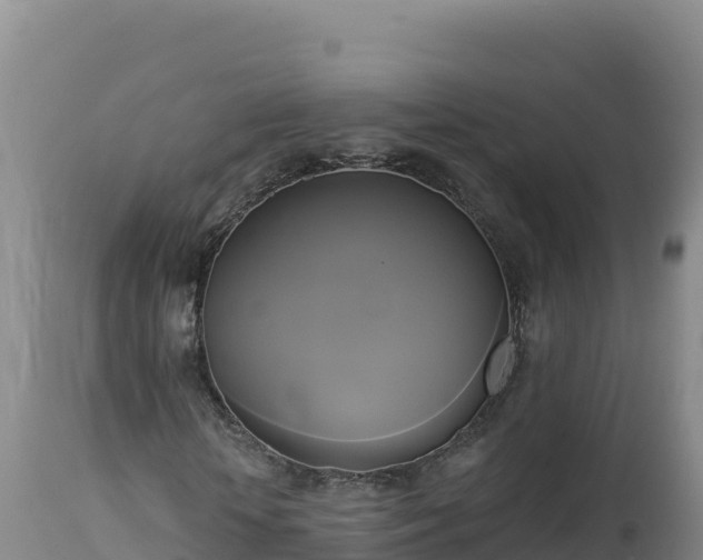X0000112820818200908281529