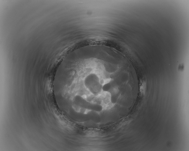 X0000112820819200908281529