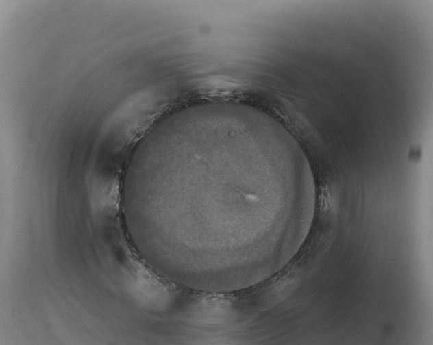 X0000112820820200908281529