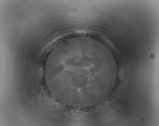 X0000112820821200908281529