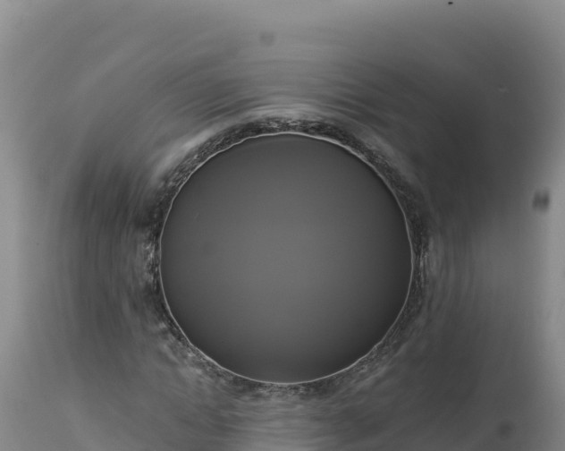 X0000112820822200908281529