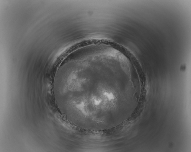 X0000112820823200908281529
