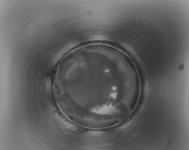 X0000112820825200908281529