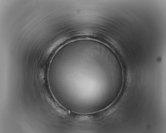 X0000112820826200908281529