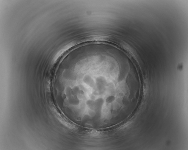 X0000112820827200908281529