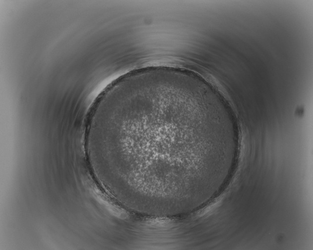 X0000112820830200908281529