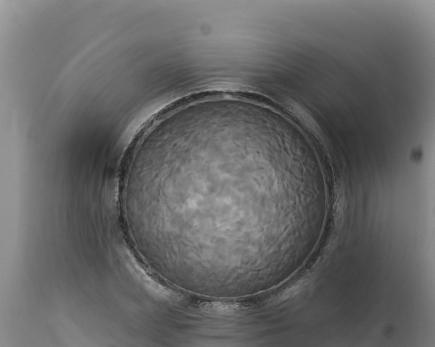 X0000112820831200908281529