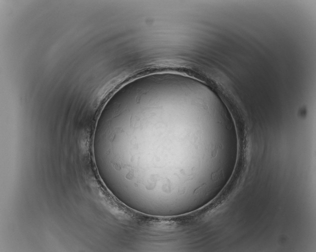 X0000112820833200908281529