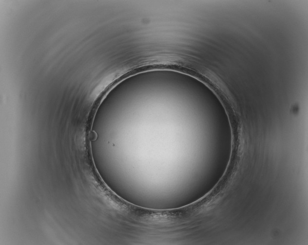 X0000112820834200908281529