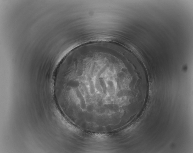 X0000112820835200908281529