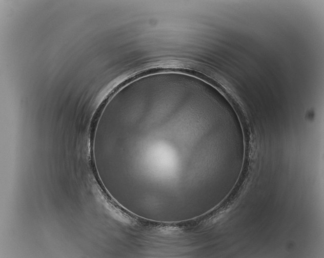 X0000112820837200908281529