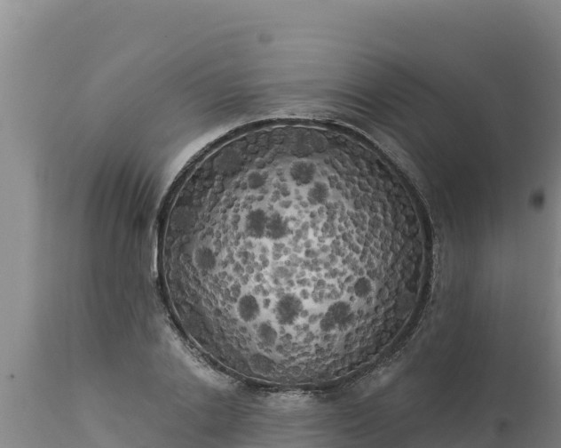 X0000112820838200908281529