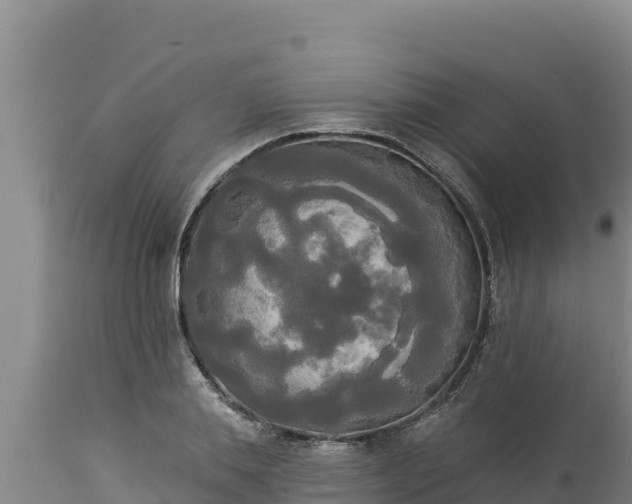 X0000112820839200908281529