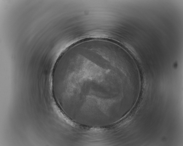 X0000112820840200908281529