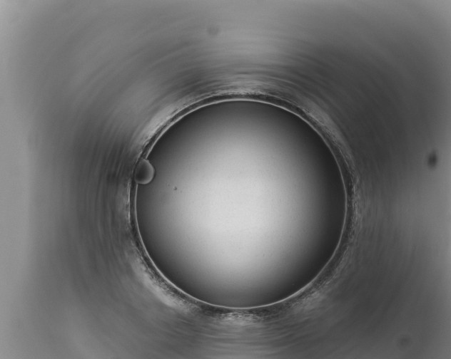 X0000112820842200908281529