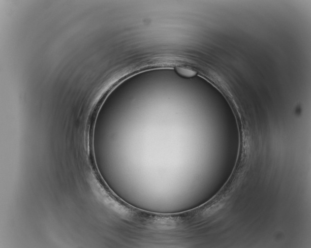 X0000112820843200908281529