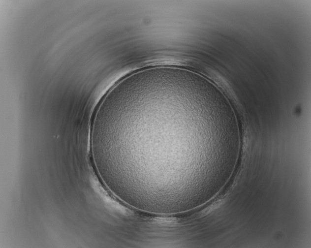 X0000112820844200908281529