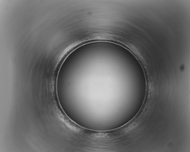 X0000112820846200908281529