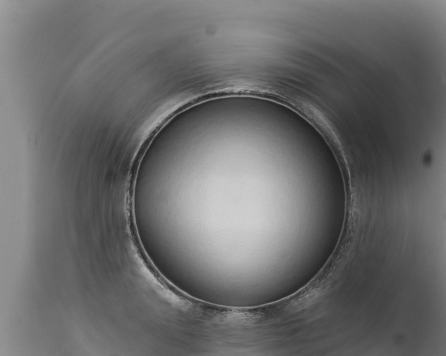 X0000112820847200908281529