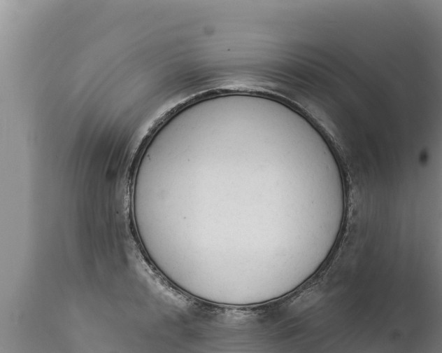 X0000112820848200908281529