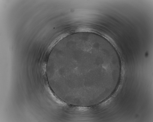 X0000112820849200908281529