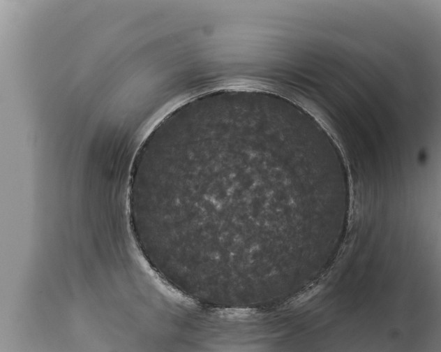 X0000112820853200908281529