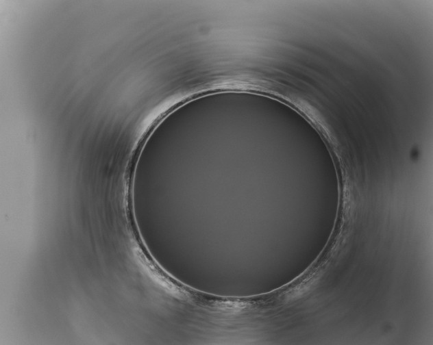 X0000112820854200908281529