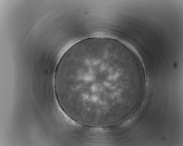 X0000112820855200908281529