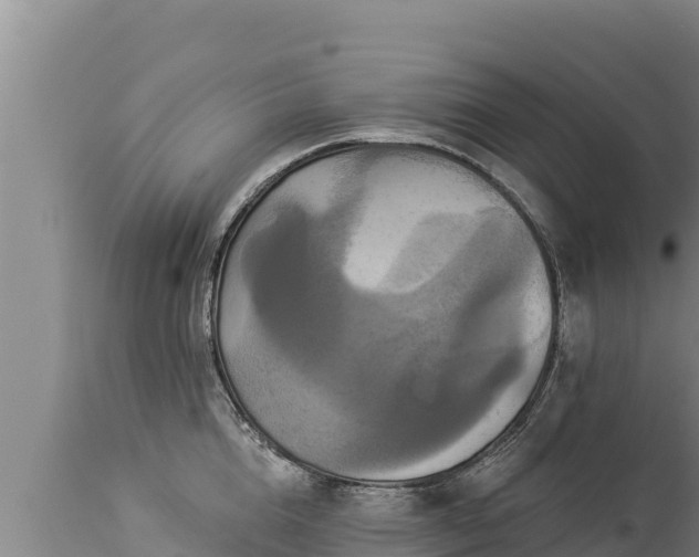 X0000112820856200908281529