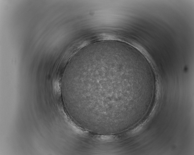 X0000112820857200908281529
