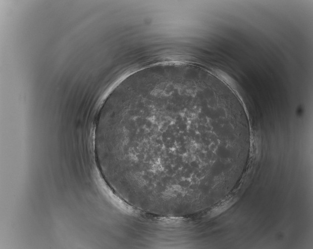 X0000112820859200908281529
