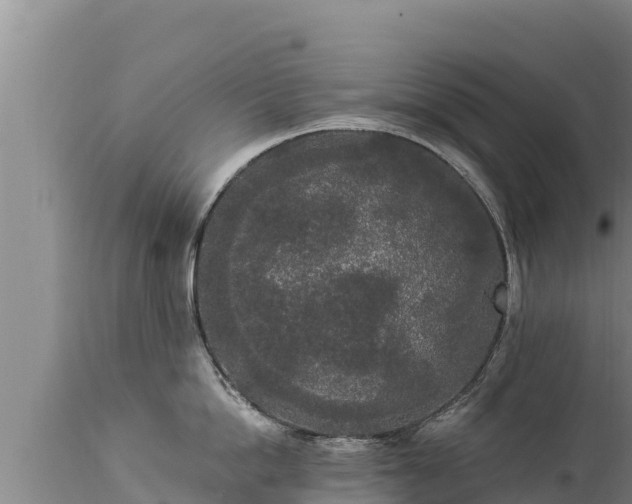 X0000112820862200908281529