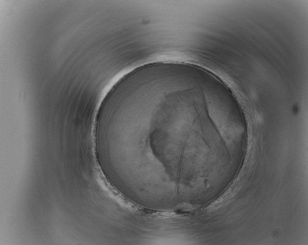 X0000112820864200908281529