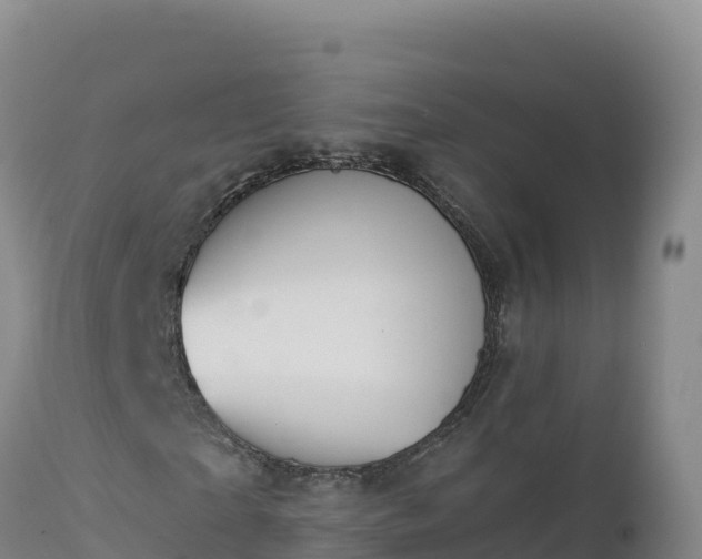 X0000112820865200908281529