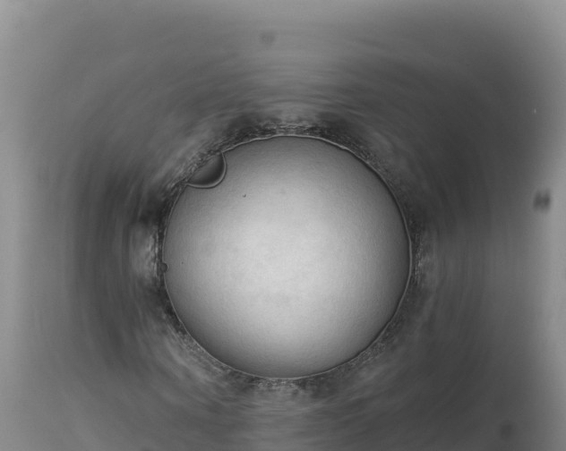 X0000112820866200908281529