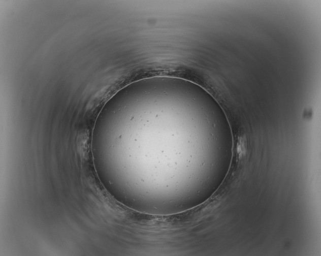 X0000112820867200908281529