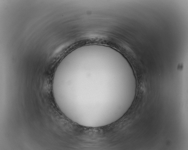X0000112820869200908281529