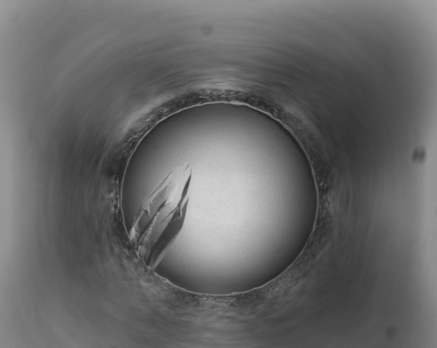 X0000112820870200908281529