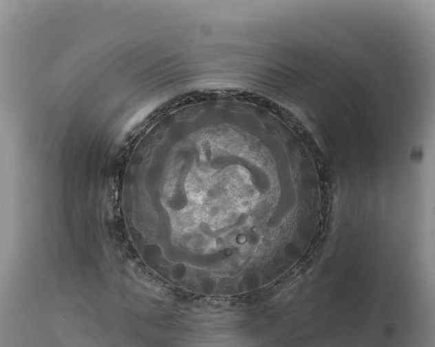 X0000112820871200908281529