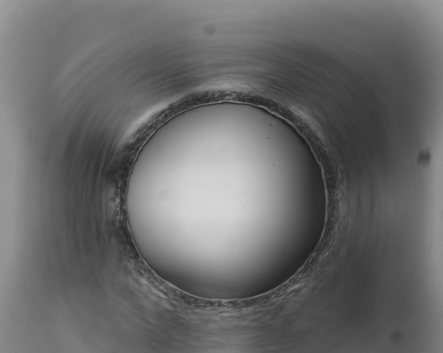 X0000112820872200908281528