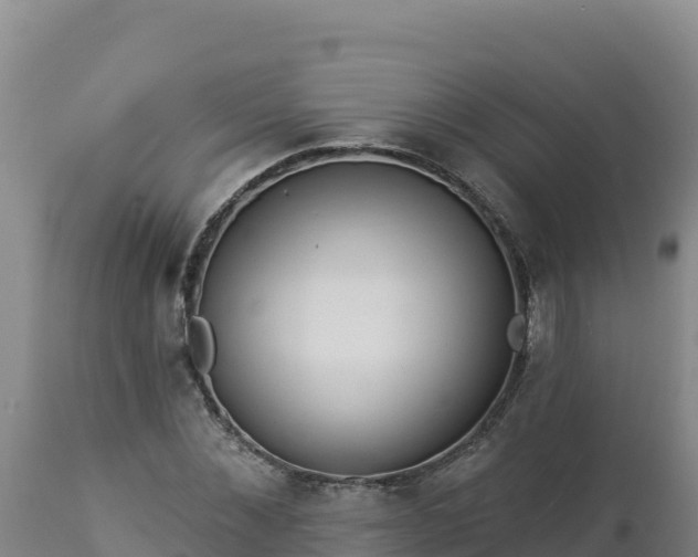 X0000112820876200908281528