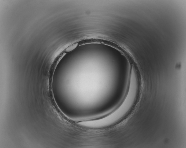 X0000112820877200908281528