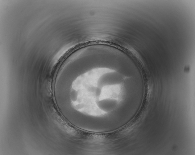 X0000112820878200908281528