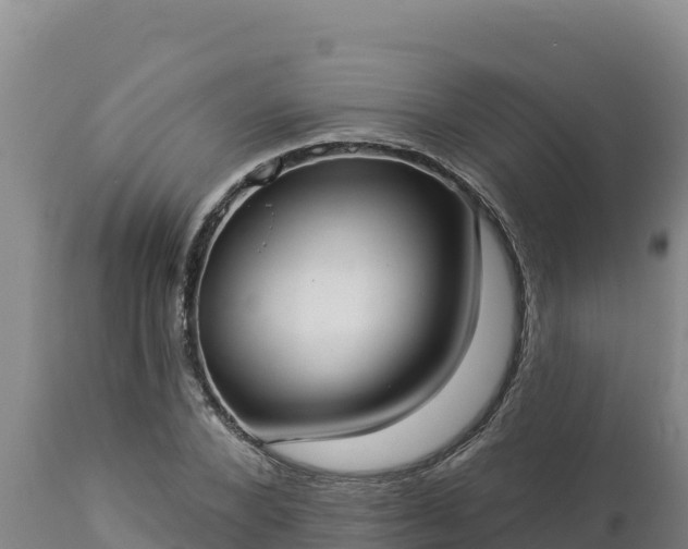 X0000112820880200908281528